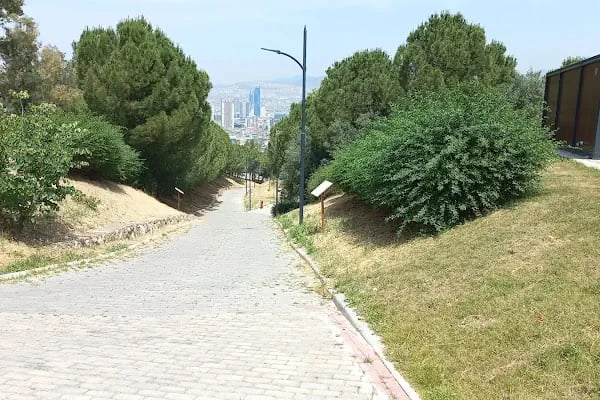 Meriç Yaşayan Parkı - Resim 16