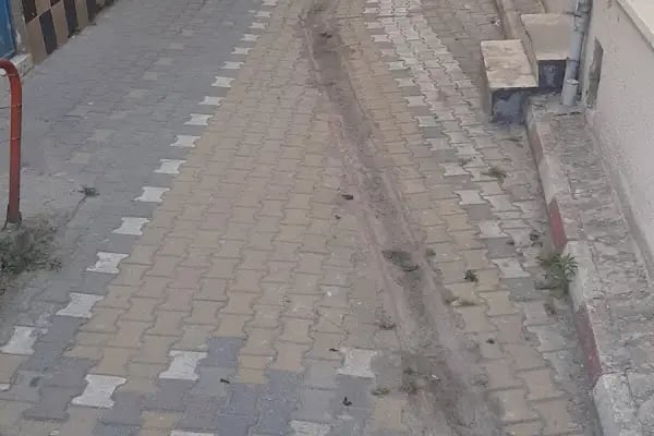 Foto Aydın - Resim 9