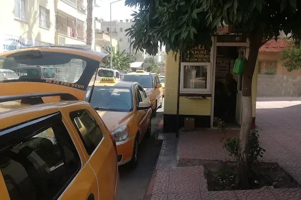 Arı Taksi - Resim 5