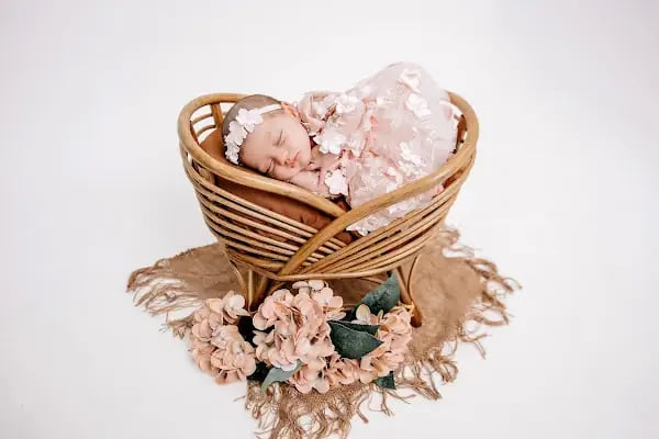 Bloom Studio - Resim 3