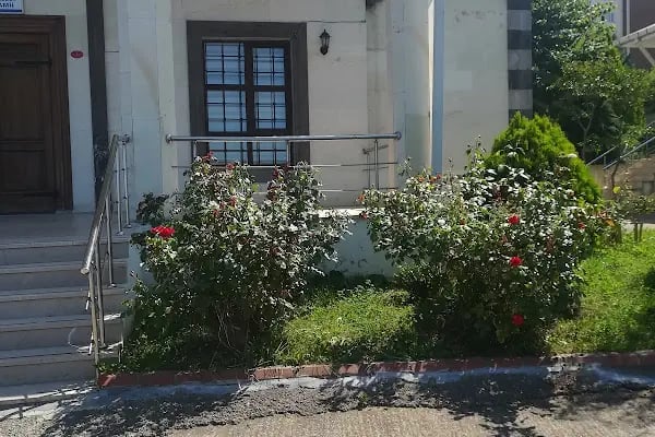Yıldızlı mahallesi 2 nolu TOKİ camii - Resim 8