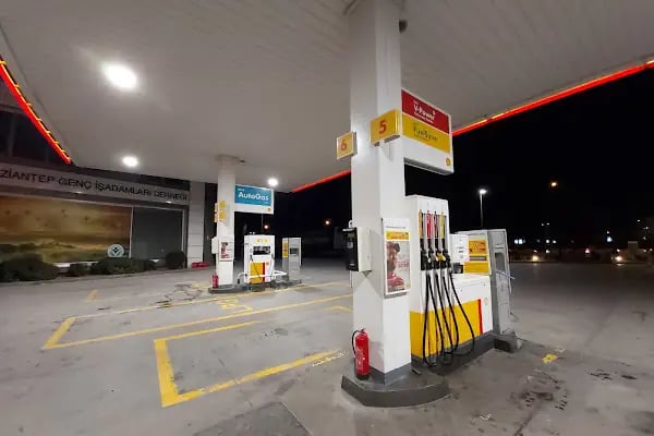 Shell (Tt) - Resim 12
