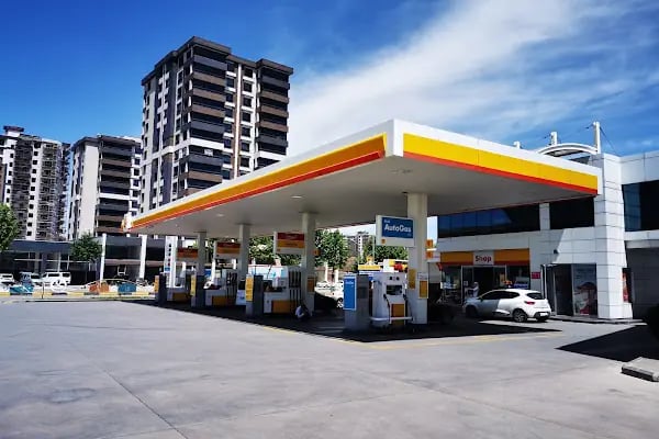 Shell (Tt) - Resim 14