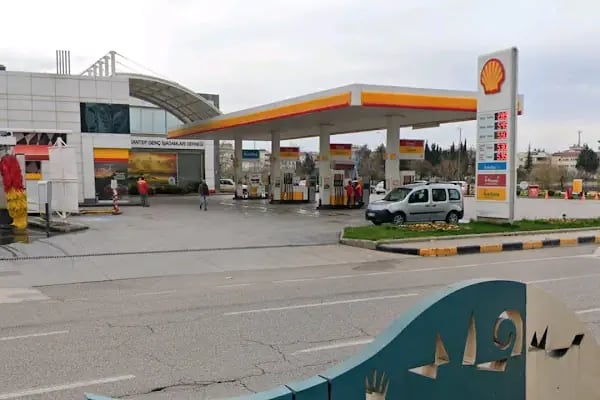 Shell (Tt) - Resim 13