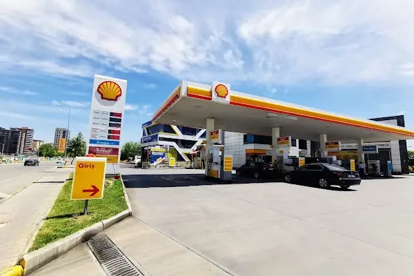 Shell (Tt) - Resim 16