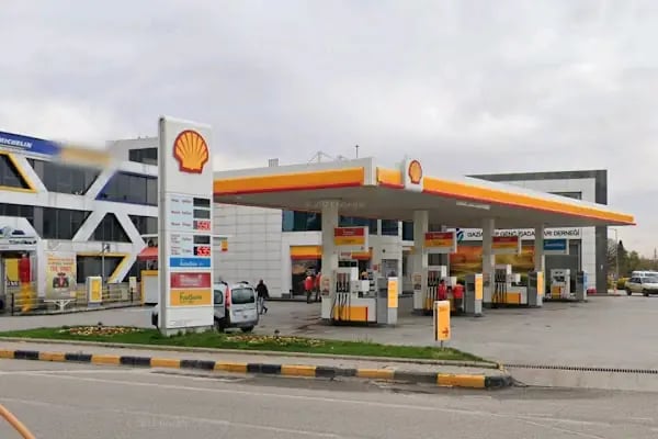 Shell (Tt) - Resim 2