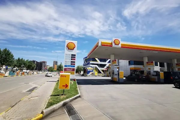Shell (Tt) - Resim 15