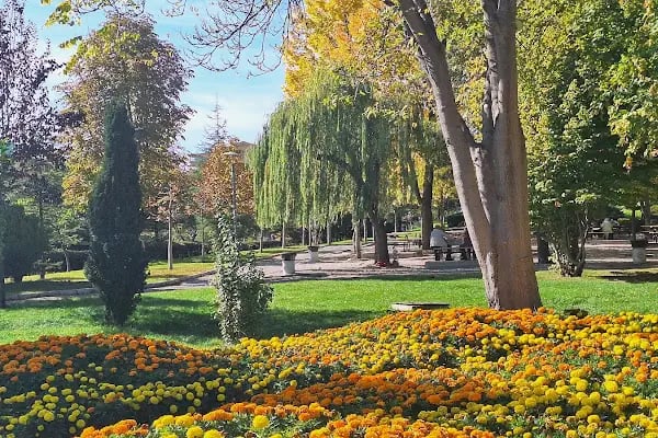 Altınpark piknik alanı - Resim 4
