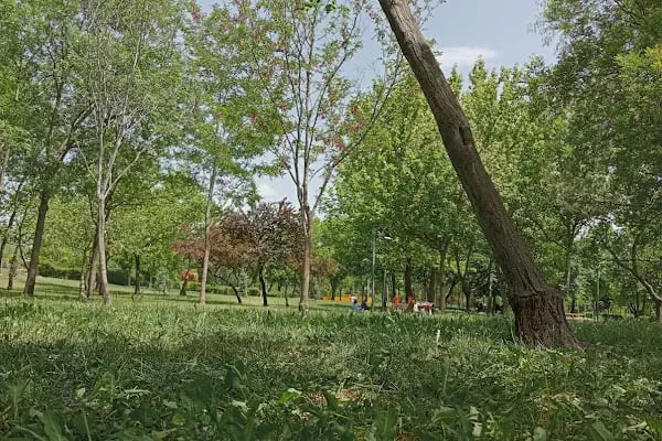 Altınpark piknik alanı - Resim 18