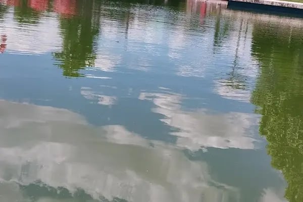 Altınpark piknik alanı - Resim 12