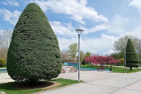 Altınpark piknik alanı - Resim 13