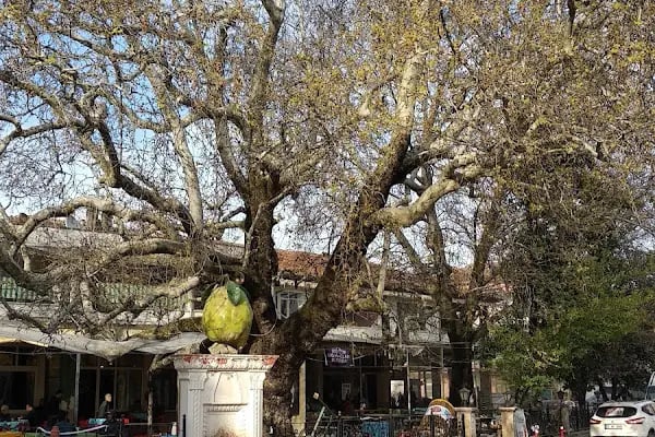 Ağaköy - Resim 20