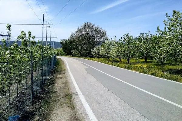 Ağaköy - Resim 4