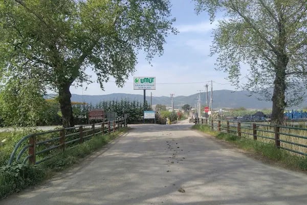 Ağaköy - Resim 10