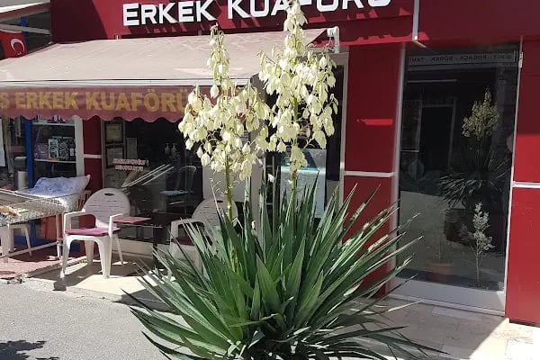 Klas Erkek Kuaförü - Resim 3