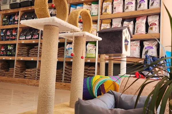 SEMMpati Petshop - Resim 3