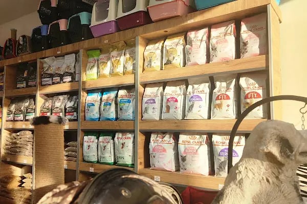 SEMMpati Petshop - Resim 2