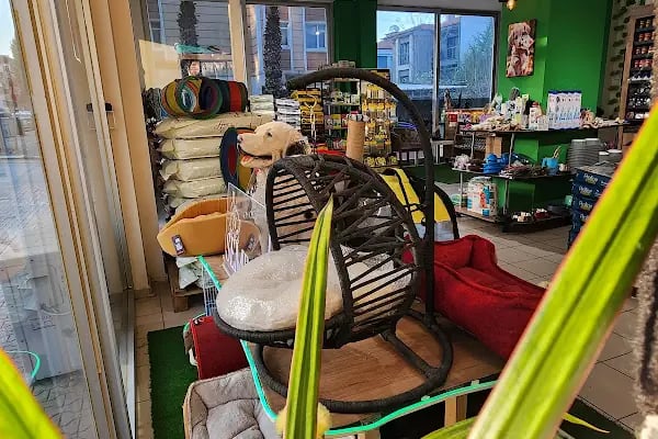 SEMMpati Petshop - Resim 10