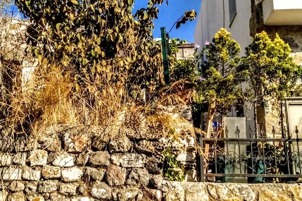 Yeniköy Mahalle Muhtarlığı - Resim 3