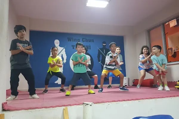 Tai-Chi, Wing Chun, Wushu Yakın Savunma Eğitim Merkezi - Resim 7