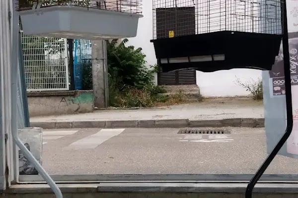 Rüyam Petshop Ve Balıkçılık Malzemeleri - Resim 13
