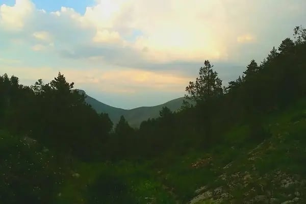 Kılıç Besi Çiftliği - Resim 4