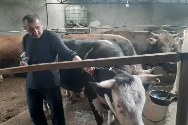 Kılıç Besi Çiftliği - Resim 10