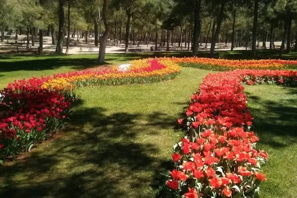 Dülükbaba Tabiat Parkı - Resim 7