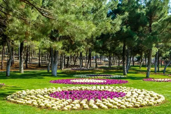 Dülükbaba Tabiat Parkı - Resim 9
