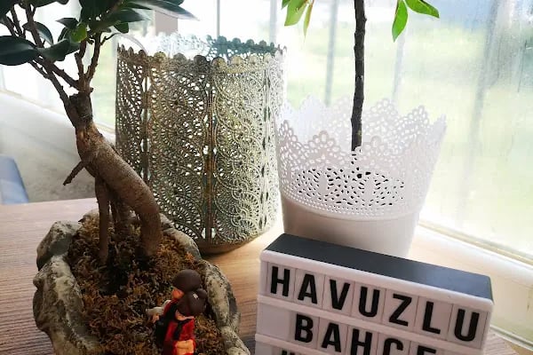 Havuzlu bahçe - Resim 4