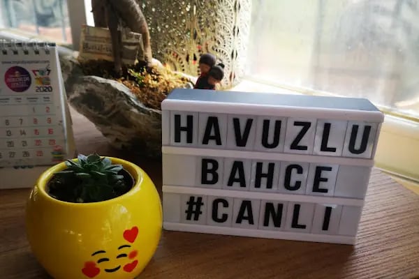 Havuzlu bahçe - Resim 5