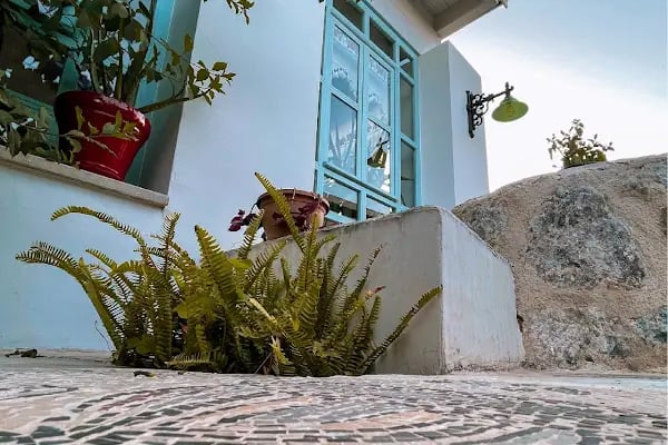 Moonshine Hotel & Suites - Resim 20
