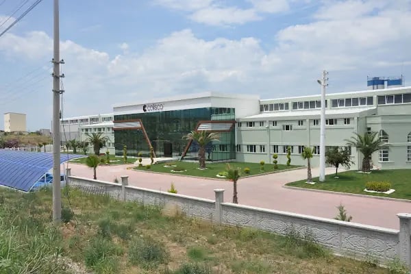 Calisco Kuvars Yüzeyler - Resim 2