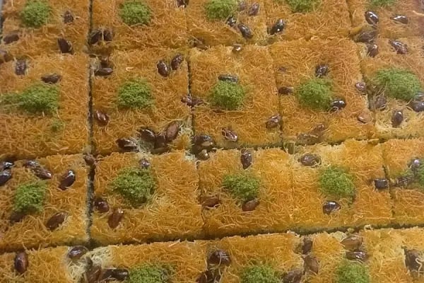 Paşa Simit - Resim 15