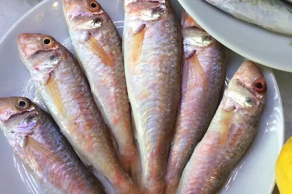 Güven Balık Restaurant - Resim 19