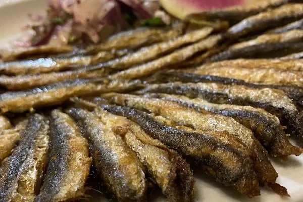 Güven Balık Restaurant - Resim 12