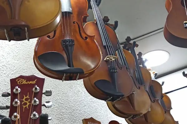 Dolunay Müzik Aletleri - Resim 14