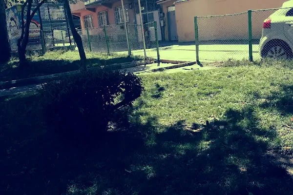 Çınar Parkı - Resim 11