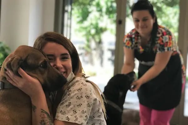 Alsancak Doğa Veteriner Kliniği - Resim 20