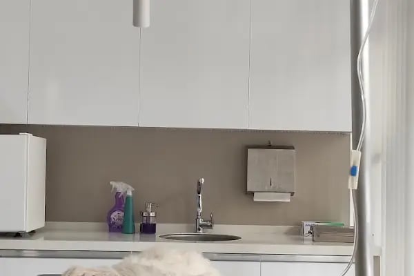 Alsancak Doğa Veteriner Kliniği - Resim 17