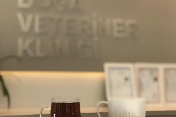 Alsancak Doğa Veteriner Kliniği - Resim 13