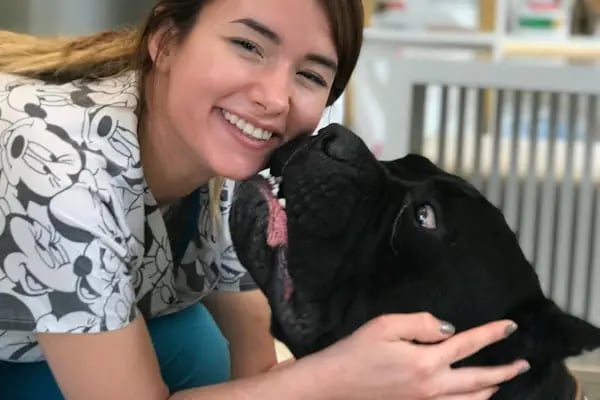Alsancak Doğa Veteriner Kliniği - Resim 16