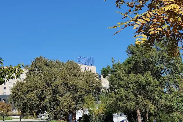 Ondokuz Mayıs Üniversitesi - Resim 17