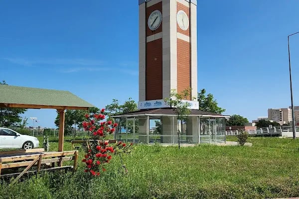 Ondokuz Mayıs Üniversitesi - Resim 5
