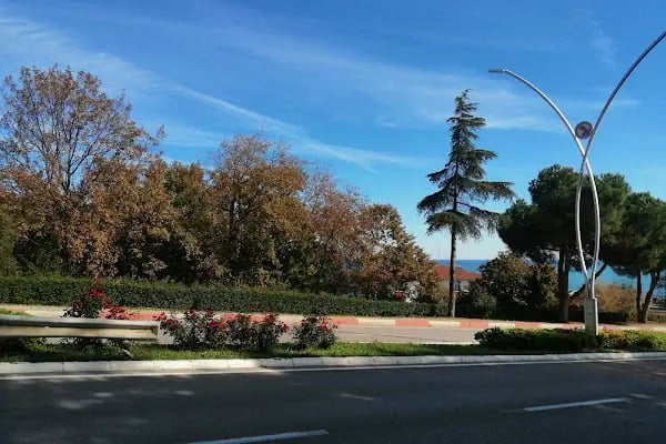 Ondokuz Mayıs Üniversitesi - Resim 2