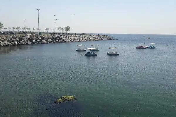 T.C. Avcılar Belediye Başkanlığı Sağlık İşleri Müdürlüğü - Resim 9
