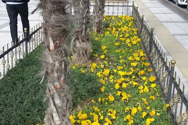 T.C. Avcılar Belediye Başkanlığı Sağlık İşleri Müdürlüğü - Resim 16