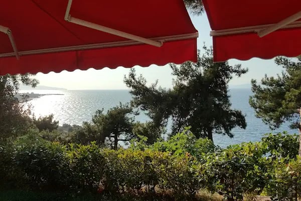 Çamlık Ekmek Ve Pasta Fırını - Resim 11