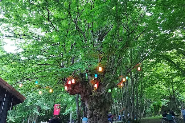 Ayvaz Camping, Kamp - Resim 11