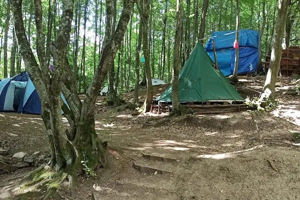 Ayvaz Camping, Kamp - Resim 2